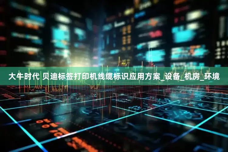 大牛时代 贝迪标签打印机线缆标识应用方案_设备_机房_环境