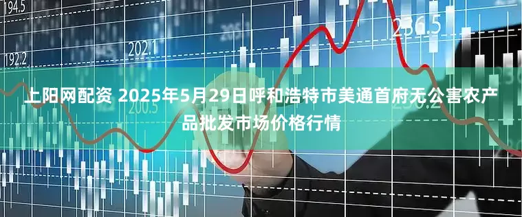 上阳网配资 2025年5月29日呼和浩特市美通首府无公害农产品批发市场价格行情