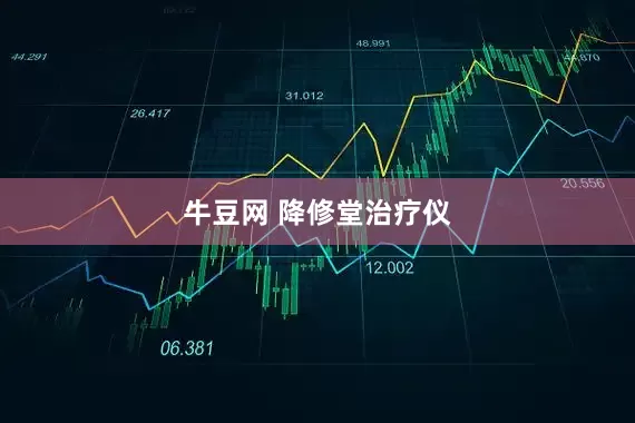牛豆网 降修堂治疗仪