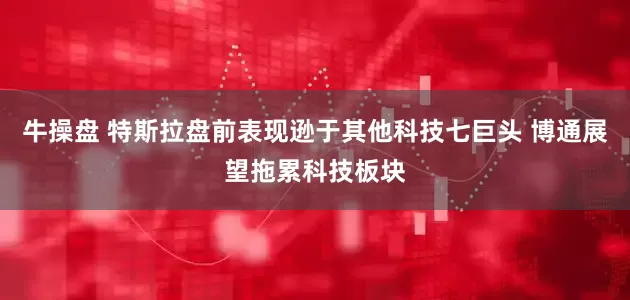 牛操盘 特斯拉盘前表现逊于其他科技七巨头 博通展望拖累科技板块